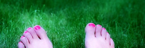 lawn care