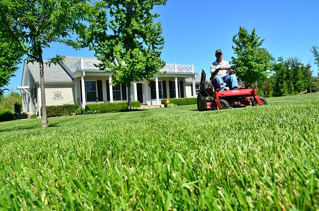 Lawn Care Professionals