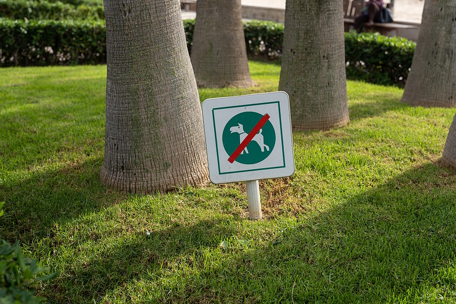 4 Repairs Your Lawn May Need Throughout the Year (Part 1)