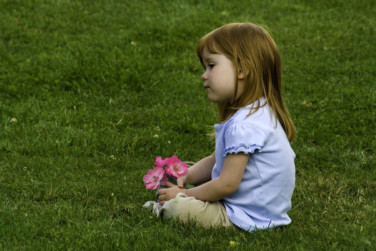 How Does Hydroseeding Compare to Other Lawn Seeding Methods?