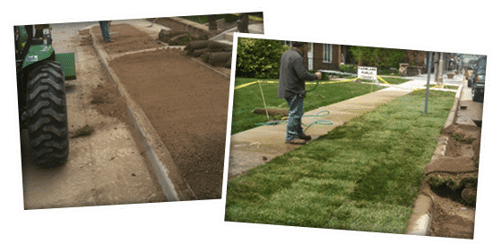 Lawn Repair and Seeding Richmond IN