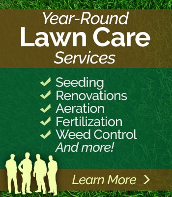 Year-Round Lawn Care Service in Richmond IN