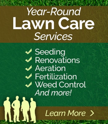 sidebar-lawn-care.jpg