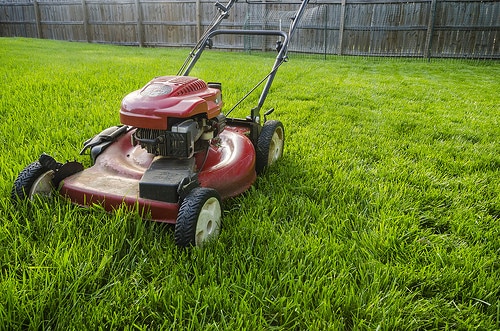 lawn care