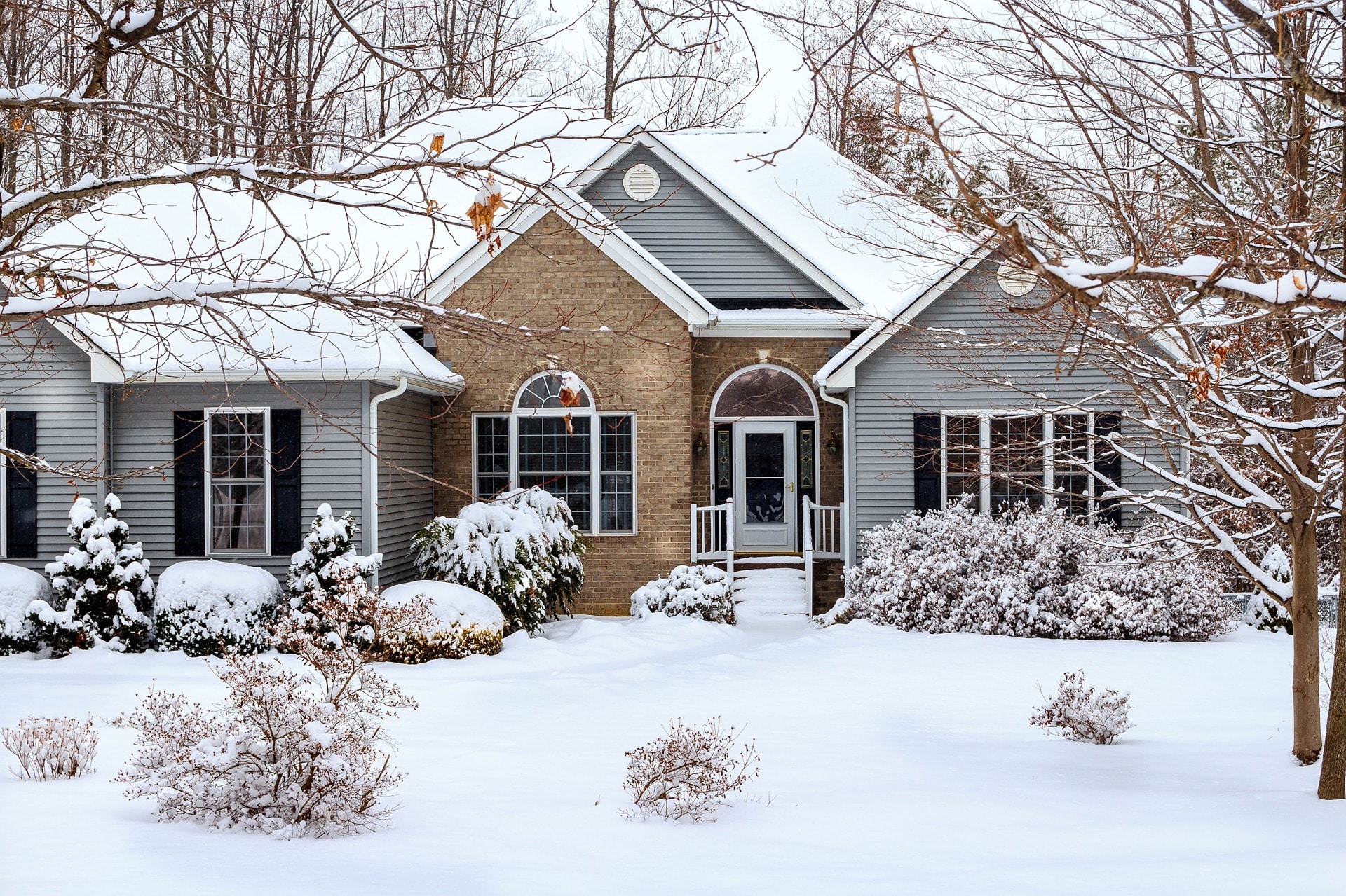 Protect Your Lawn in Winter