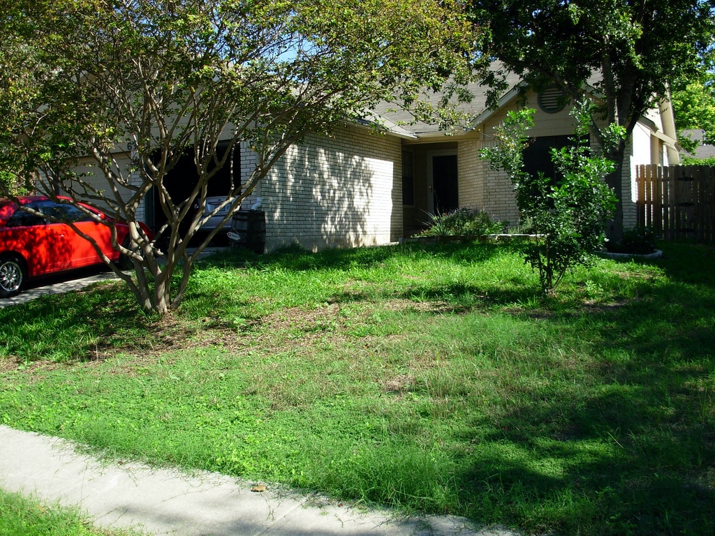 Rid Your Lawn of Pesky Crabgrass this Spring