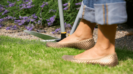 4 Steps to Defend Your Lawn Against Grub Damage
