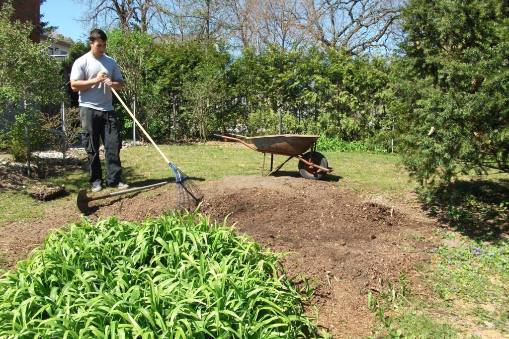 How Seeding Repairs and Protects Your Lawn From Summer Damage