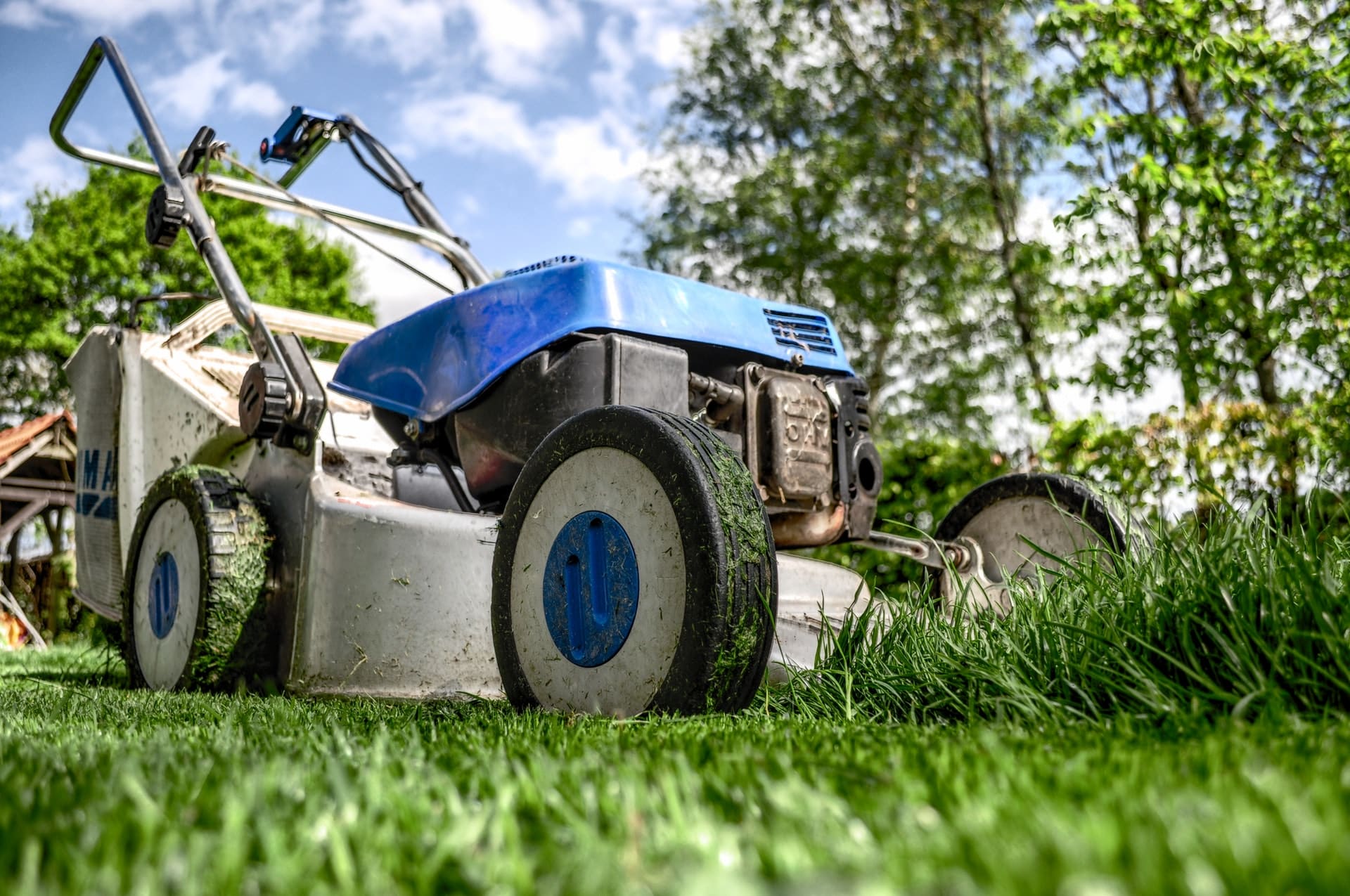 3 Ways That Proper Mowing Practices Keep Weed Growth at Bay