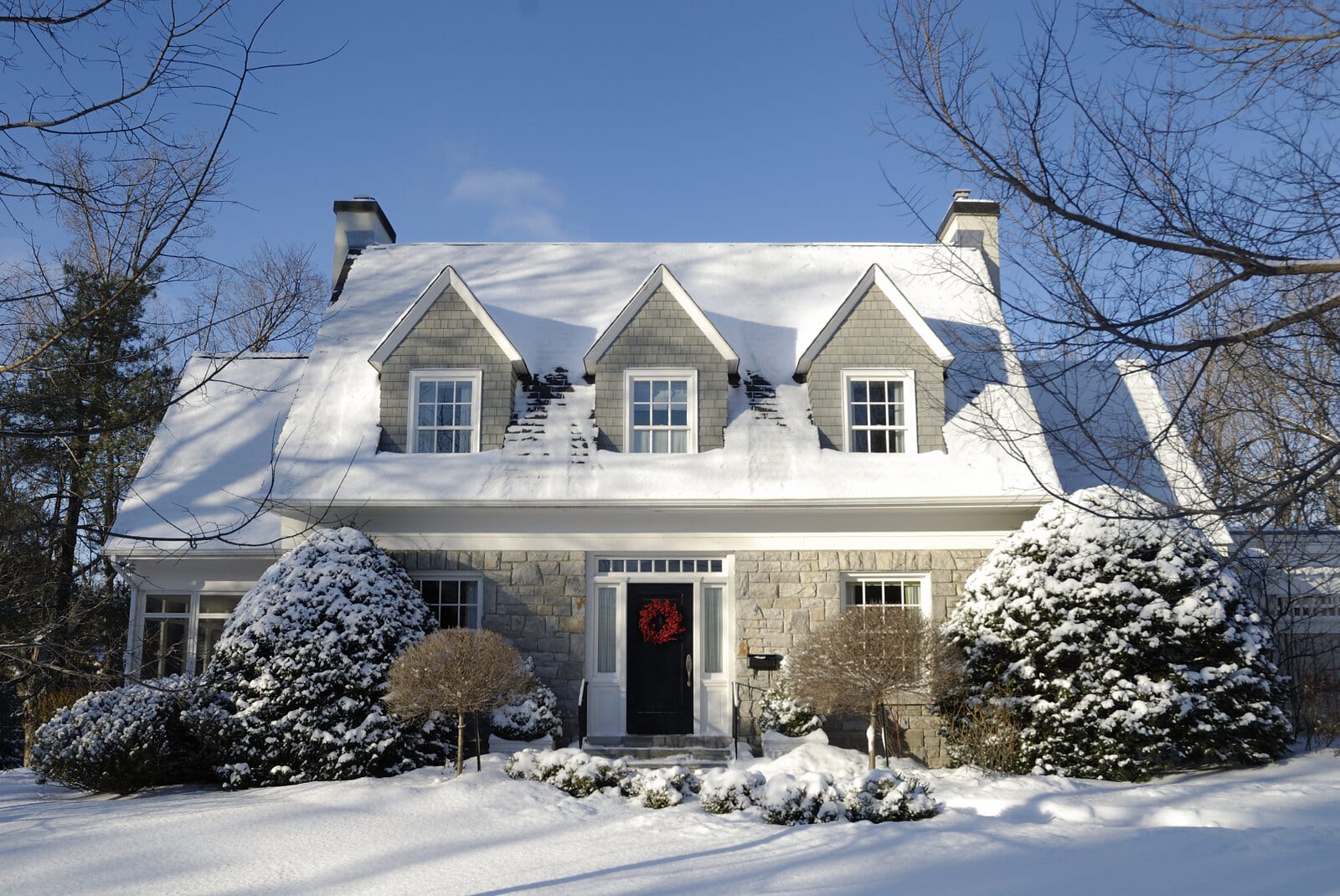 5 Easy Landscape Care Tips for the Winter Season
