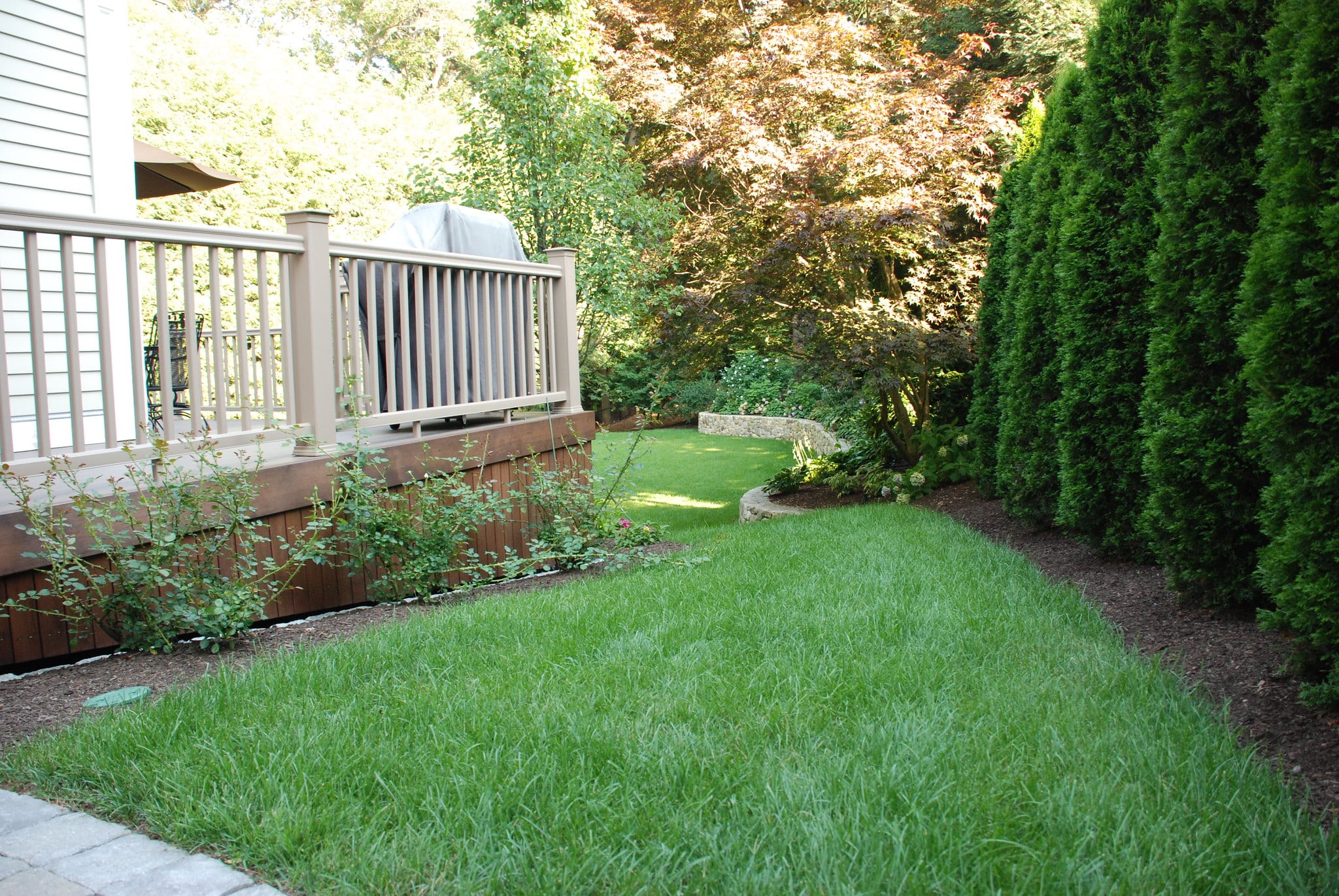 Thorough Spring Lawn Care for Your Muncie Home (Part 1)