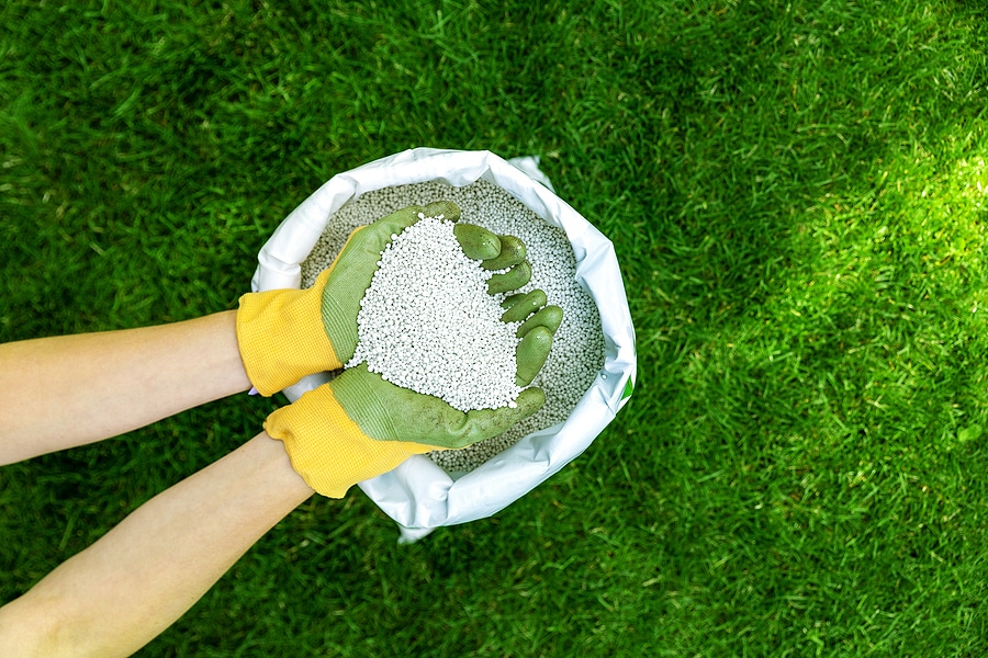 Avoid These 3 Common Mistakes When Fertilizing Your Lawn