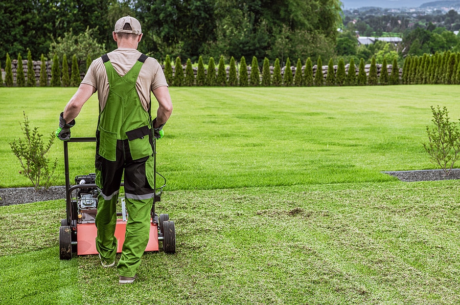 Why Should I Have My Muncie Lawn Aerated in the Fall?