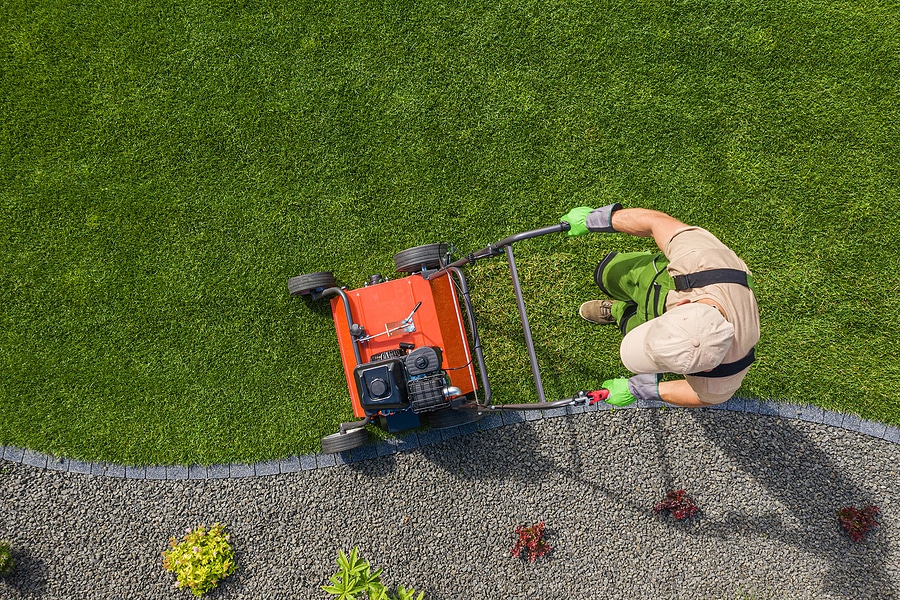 Why You Should Aerate Your Lawn in the Spring or Fall
