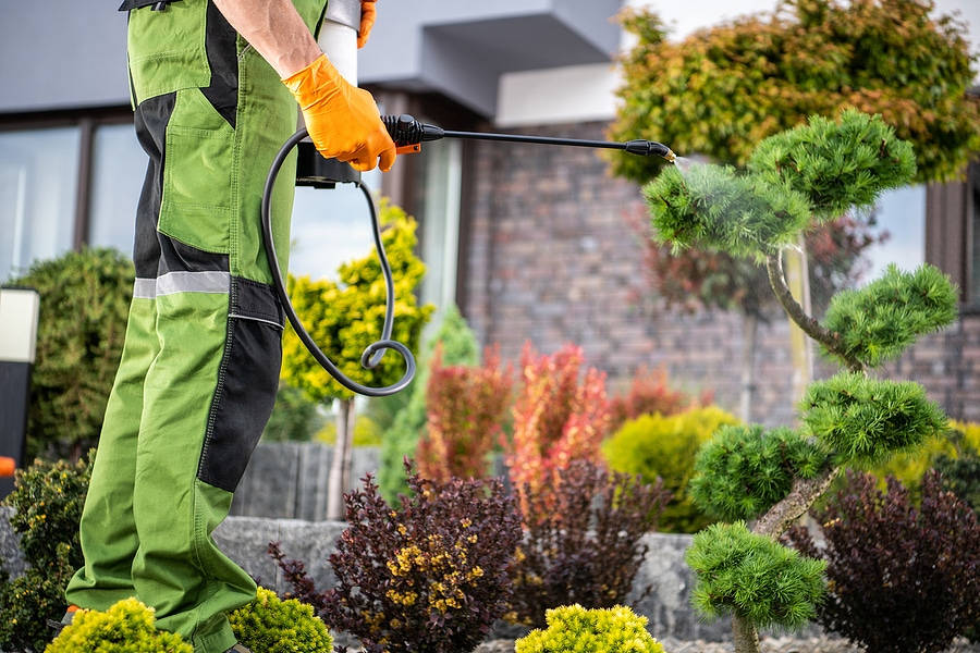 What Is Integrated Pest Management?